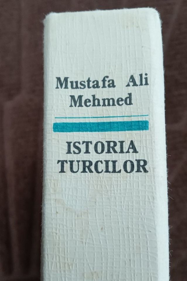 ISTORIA TURCILOR