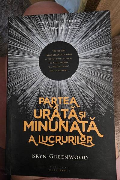 Partea urâtă și minunată a lucrurilor