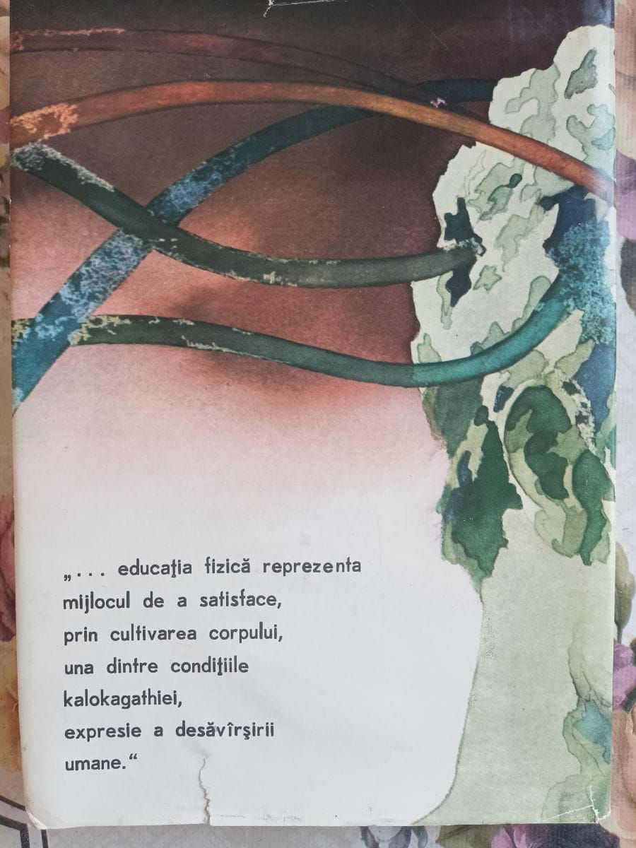 Poză 2