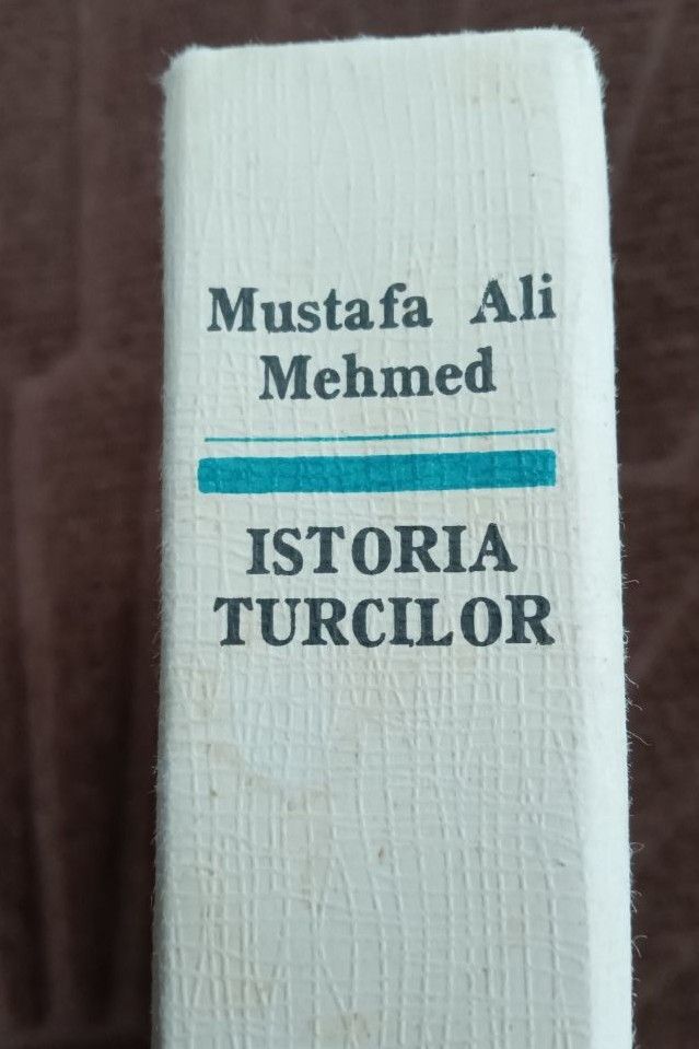 ISTORIA TURCILOR