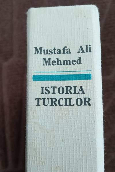 ISTORIA TURCILOR