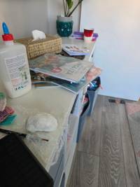 Poză 2
